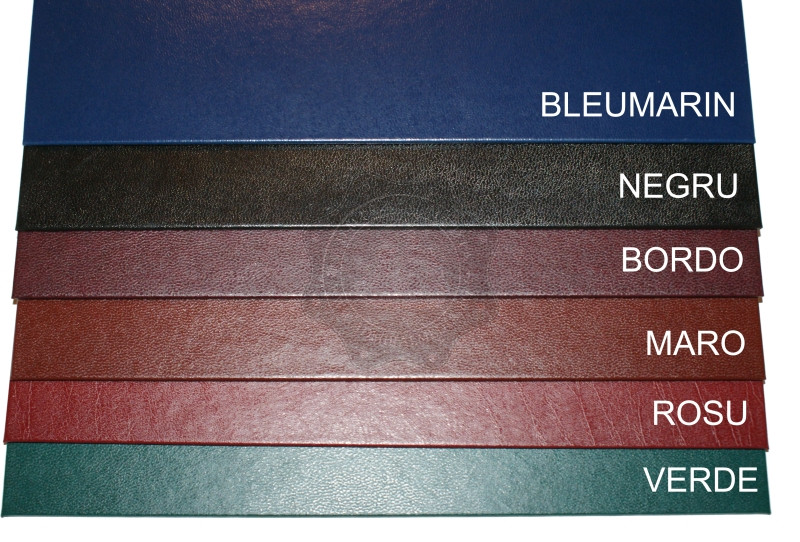 Clipboard A4, mecanism 2 inele, Verde, Economic